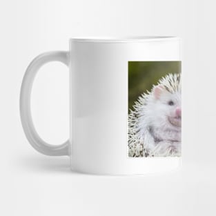 Hedgehog Mug